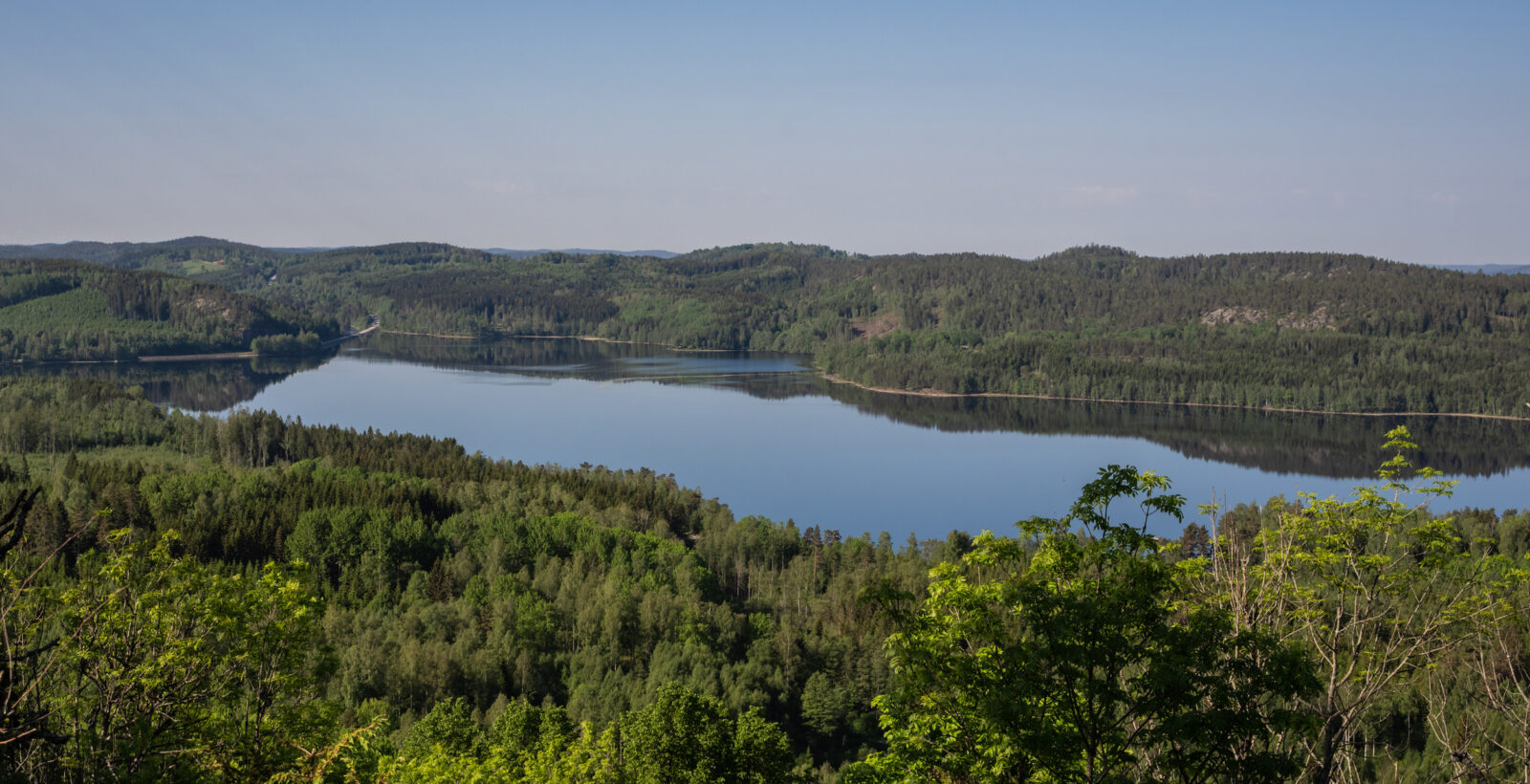Vy över sjö och skog från en höjd. Foto.