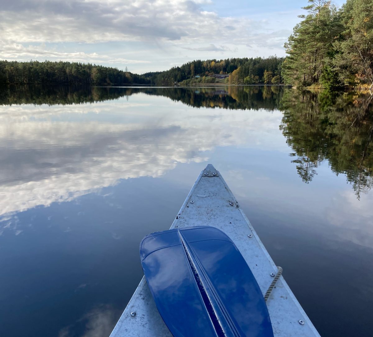 Utsikt över sjö och skog från en kanot. Foto.