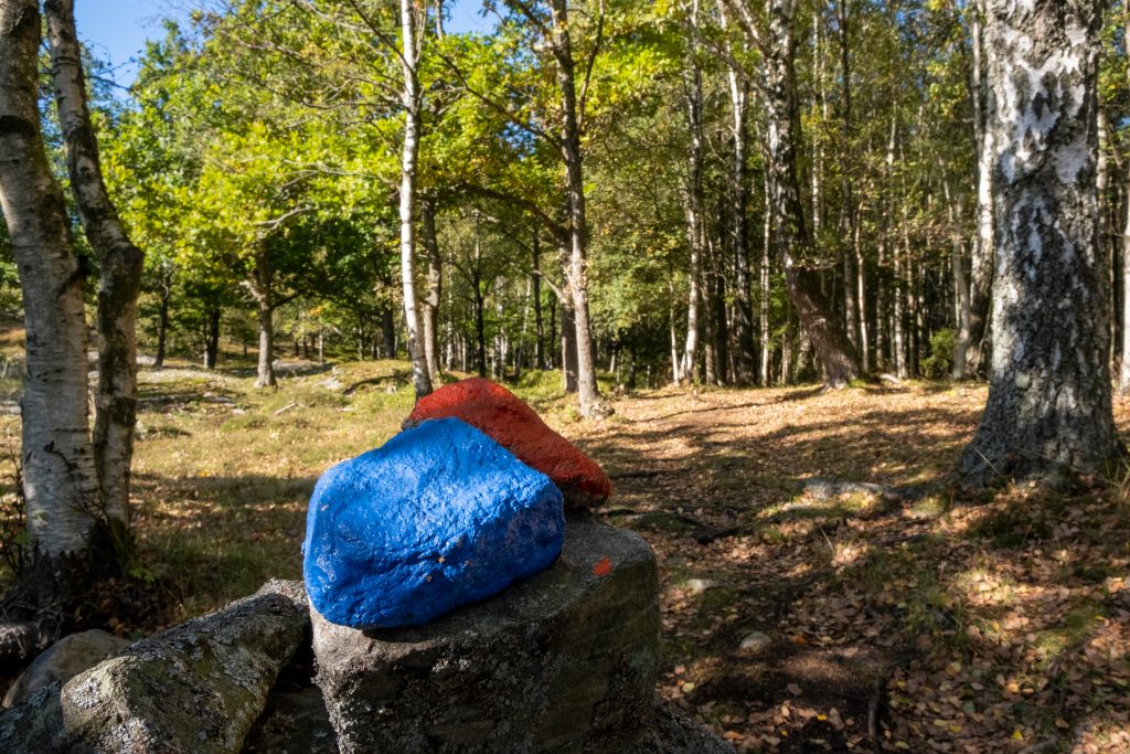 Stigmarkering bestående av två stenar, som är helt målade i röd respektive blå färg. Foto.