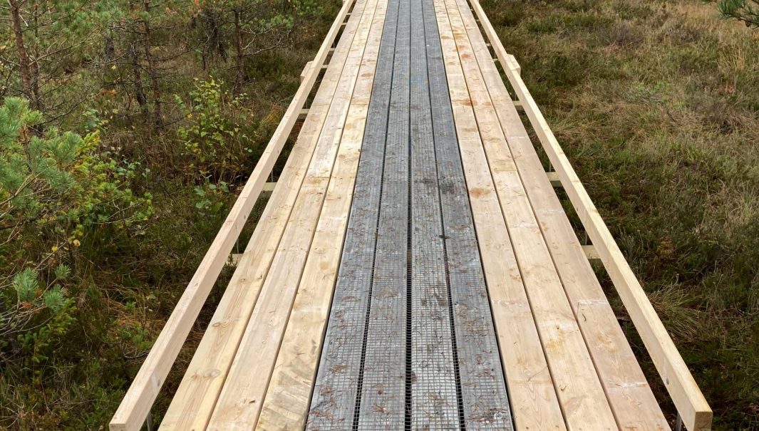 Spång över mosse. Foto.