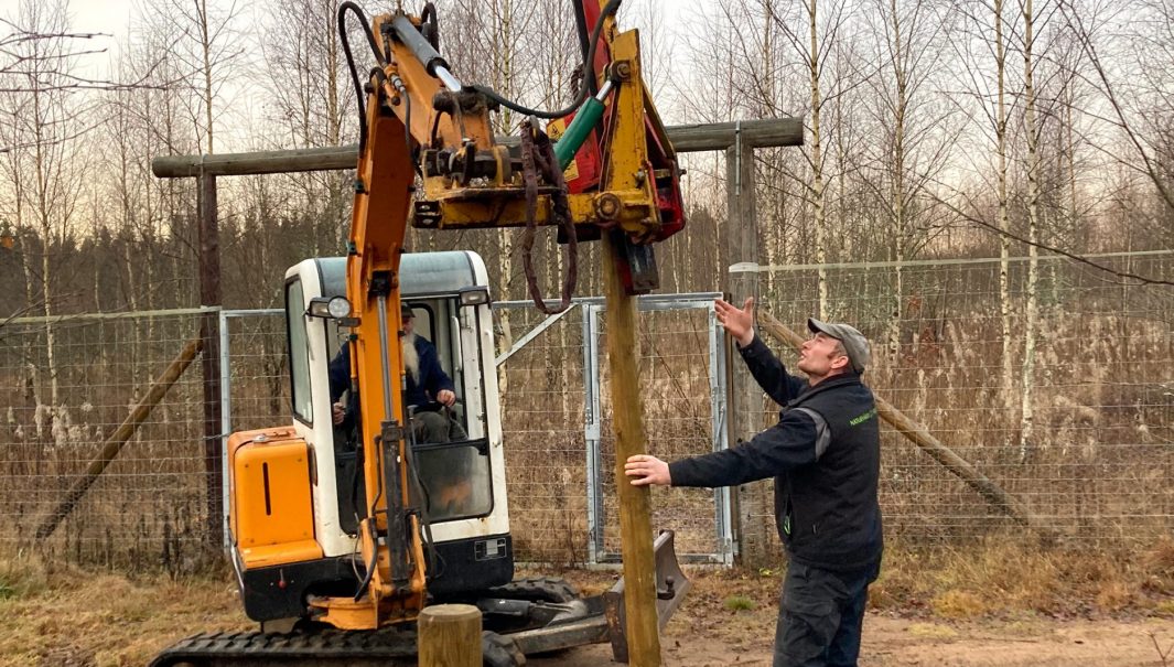 Personer slår ned stängselstolpar med hjälp av en stolpnedslagare på en traktor. Foto.