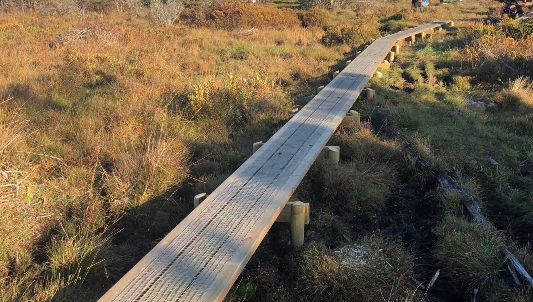 Enlång lätt vinklad spång. Foto.