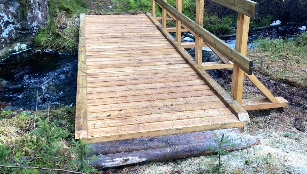 En träbro över en bäck i skogen. Foto.