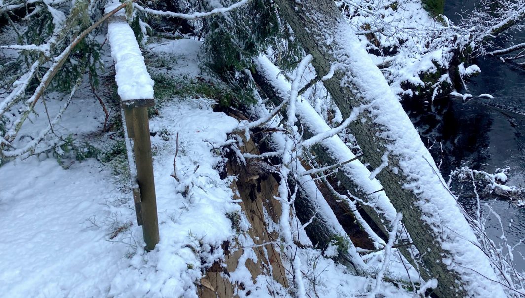 Person står och inspekterar ett jordskred. Foto.