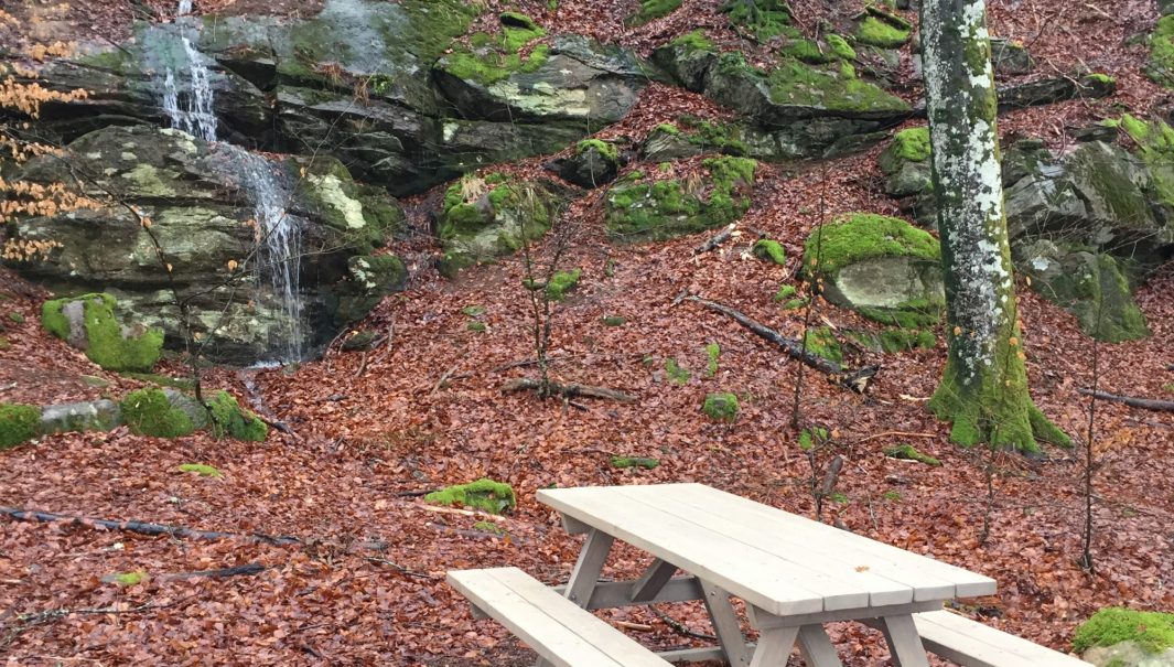 En bänk ute i en skog bredvid en liten bäck med ett fall. Foto.