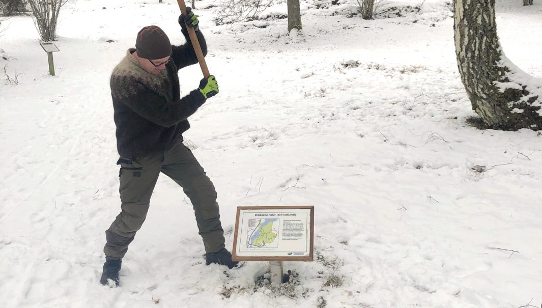 Person står med en gummislägga i högsta hugg. En skylt står djupt ner i marken. Foto.