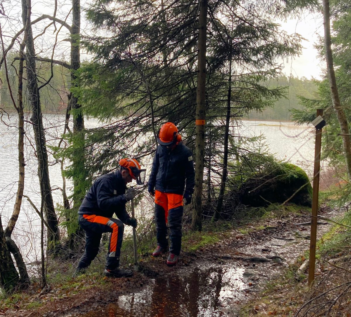 Två personer försöker leda bort vatten som samplat på en stig. Foto.