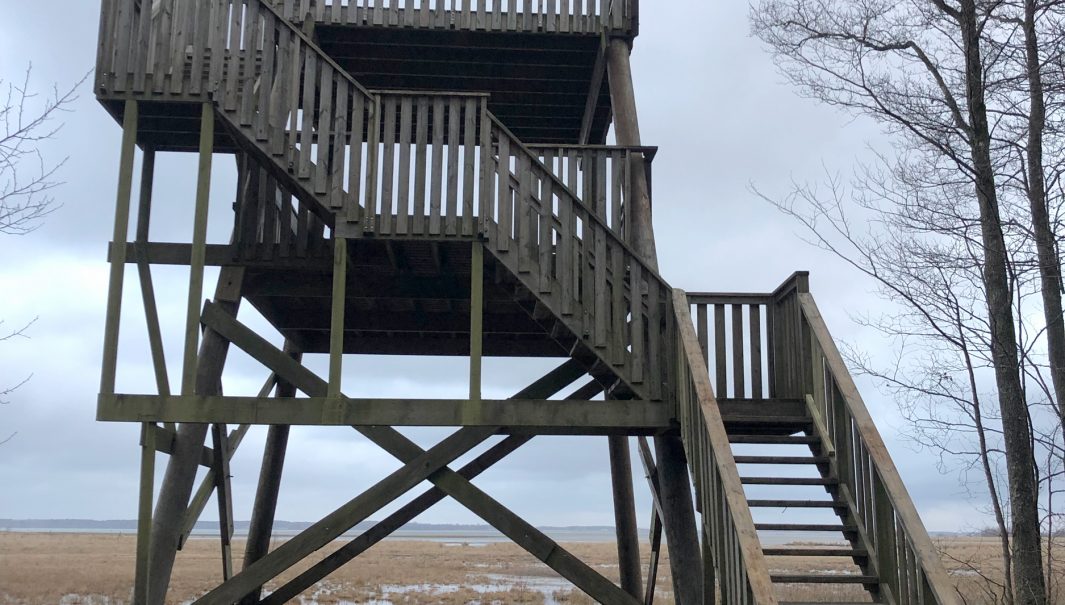 Ettt högt fågeltorn med två våningar. Foto.