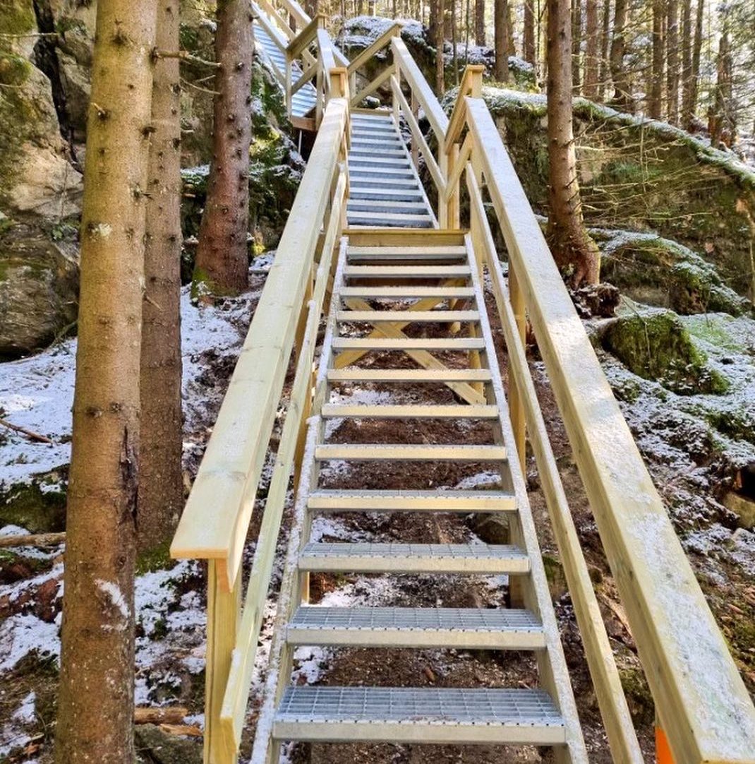 En del av en trappa i en skog. Foto.