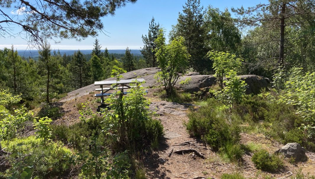 En stig som leder till ett bänkbord och en häll med vid utsikt över skog. Foto.