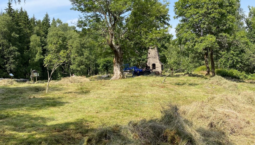 Ihopkrattat hö i förgrunden, en blå traktor och en ruin i bakgrunden. Foto.