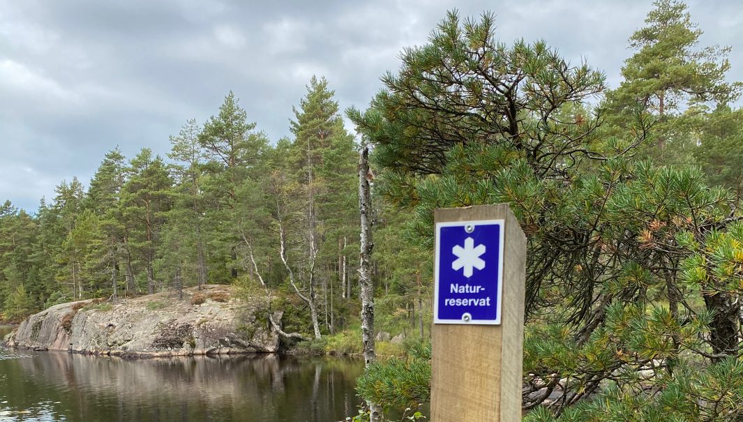 En trästolpe, vid en skogssjö, med en blå skylt som har en stjärna och texten "Naturreservat". Foto.