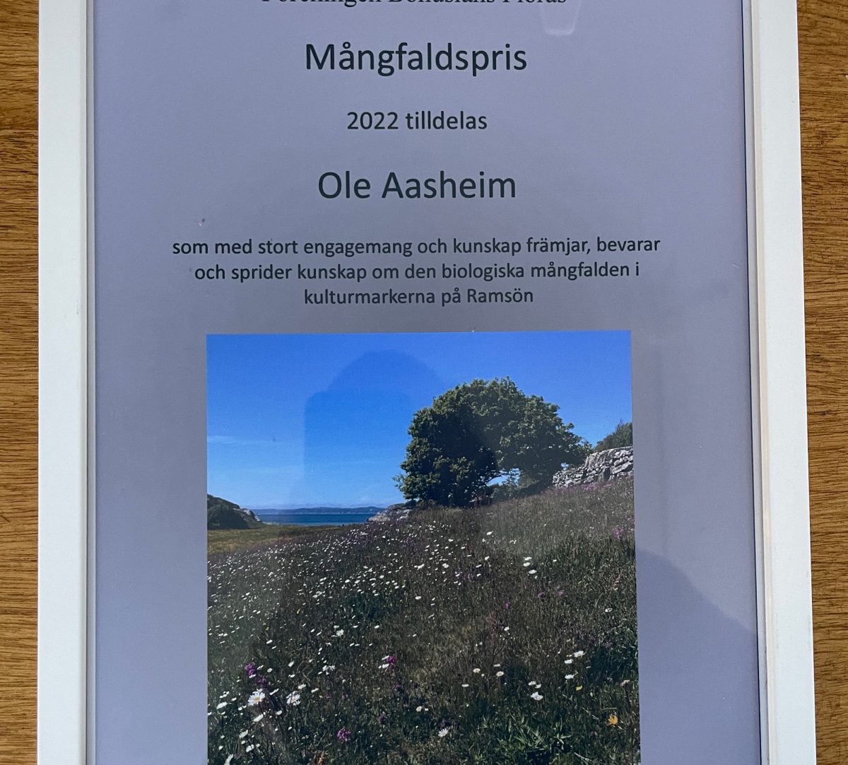 Närbild på ett diplom.