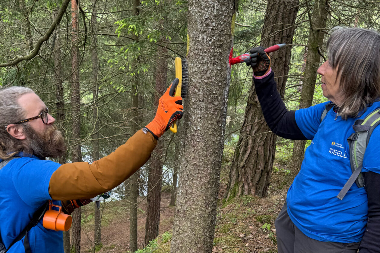 Två personer på vas sida om ett träd, som stigmarkerar. Foto.