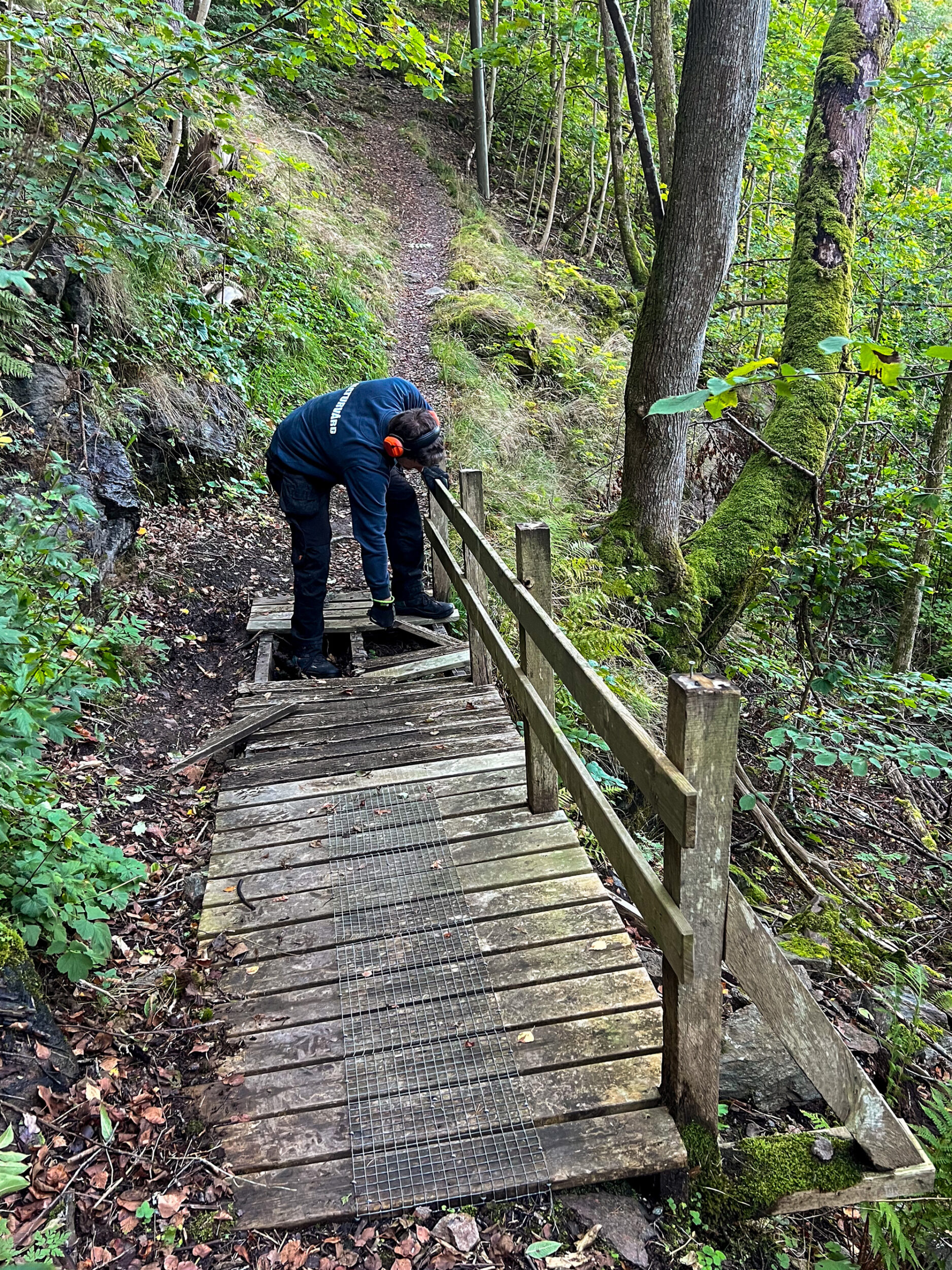 Avstängd stig i naturreservatet Kviström - Västkuststiftelsen