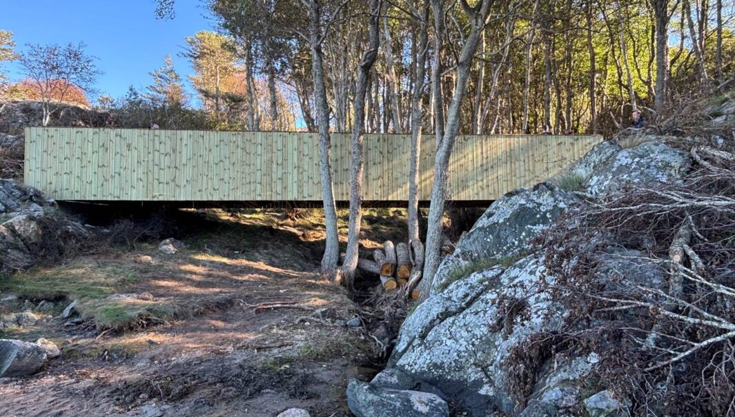 En träbro över en ravin. Foto.