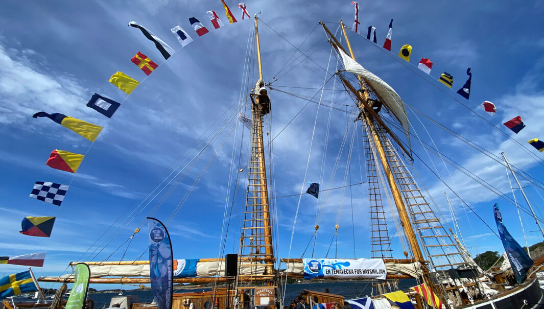 Foto av toppsegelskonaren Kvartsitas två master med flaggspel. Blå himmel med lätta molnskyar i bakgrunden.