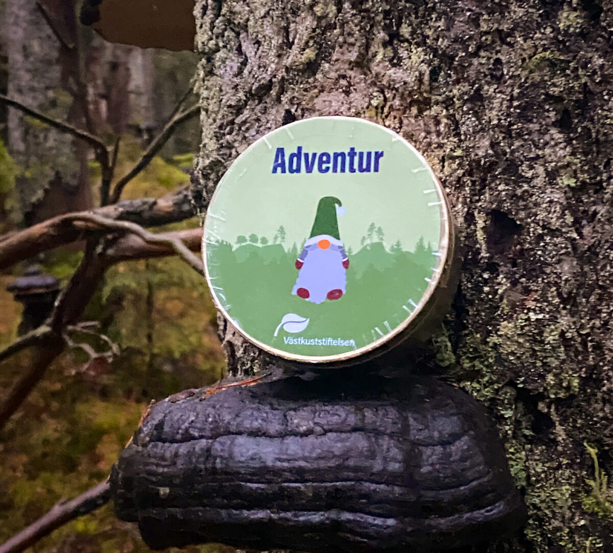 En skattburk på en ticka. Foto.