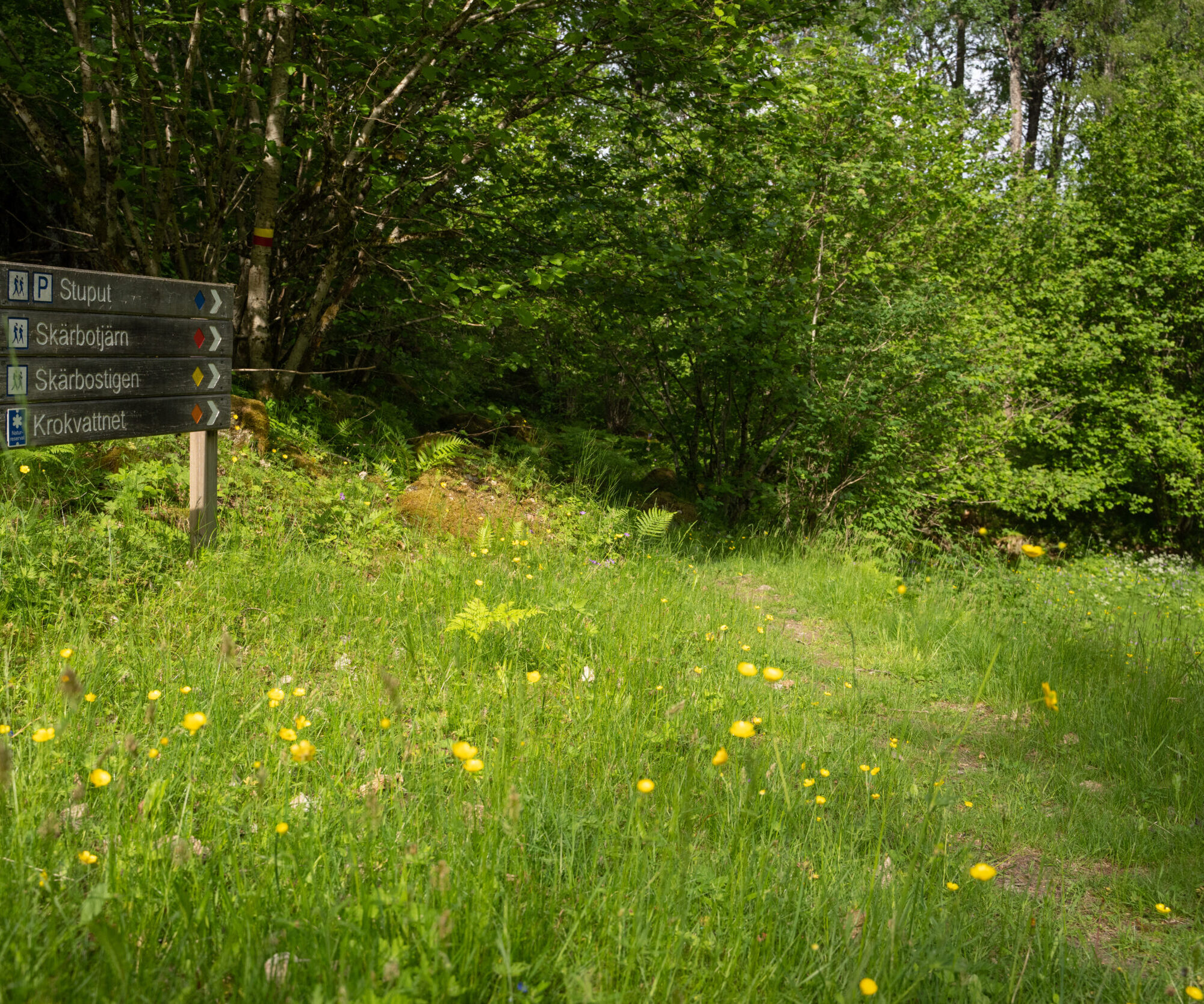 Förvaltare – naturvård och friluftsliv i norra Dalsland