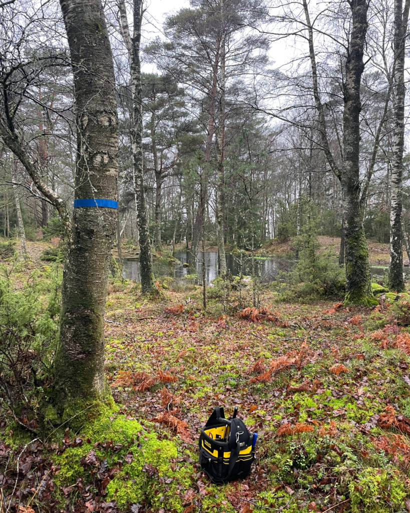 En liten damm i bakgrunden. I förgrunden ett blått band runt stammen av ett träd och en verktygslåda på marken. Foto.