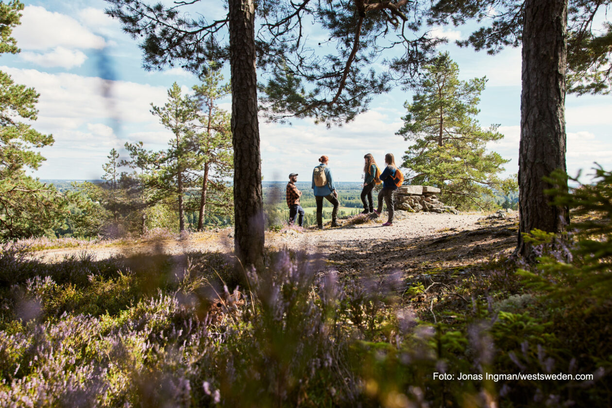 En grupp personer står vid utiskt med blomstrande ljung i förgrunden. Foto: Jonas Ingman/westsweden.com.