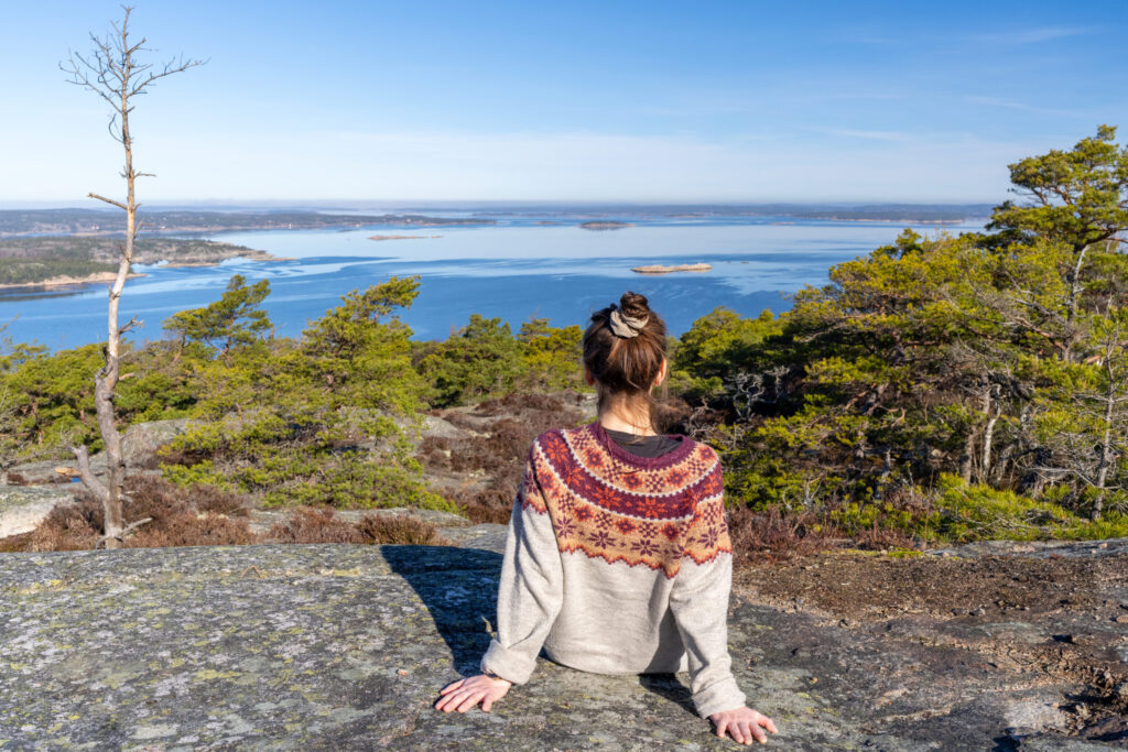Person sitter på en berggstopp med utsikt över hav, berg och skog.