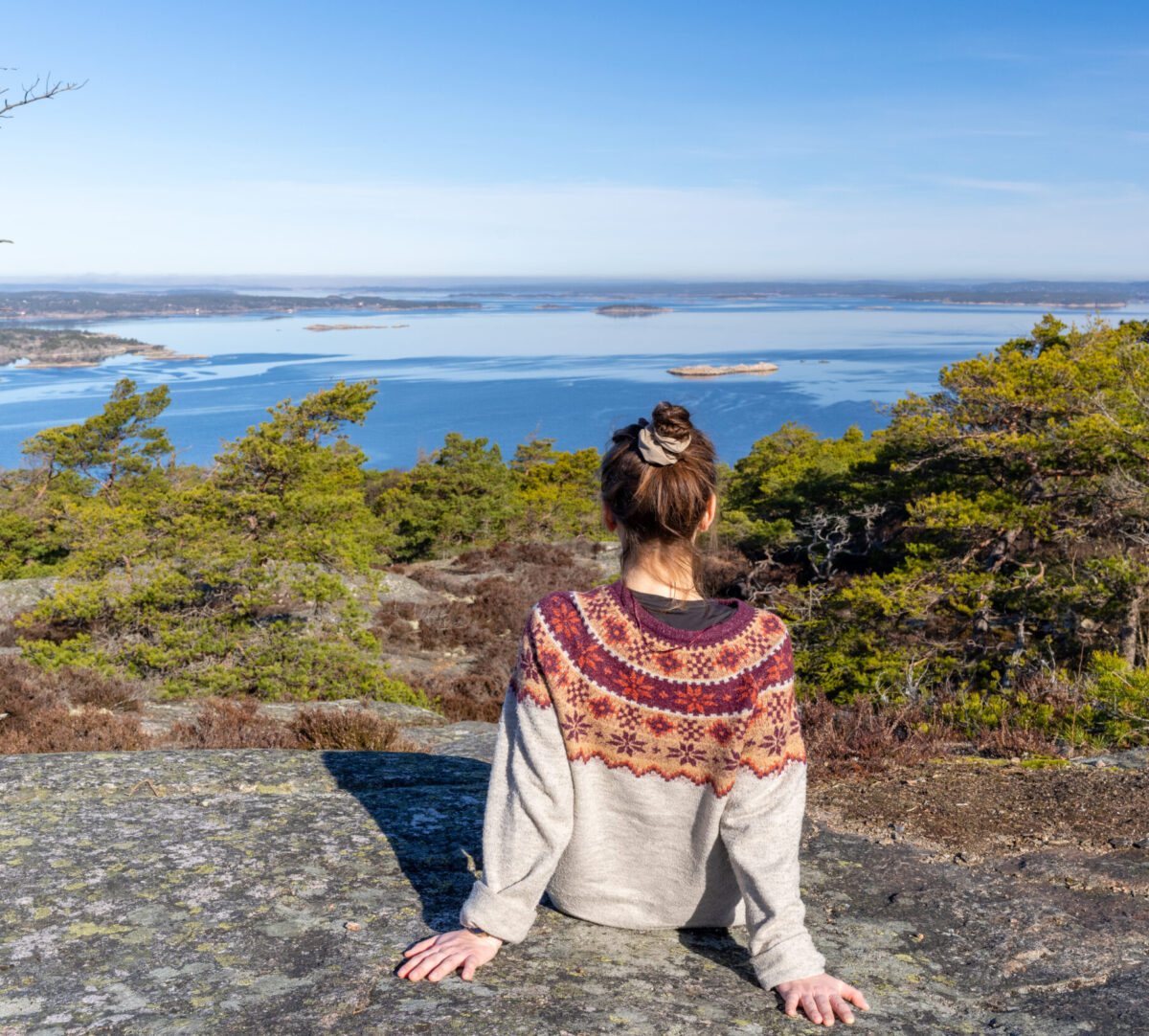 Person sitter på en berggstopp med utsikt över hav, berg och skog.