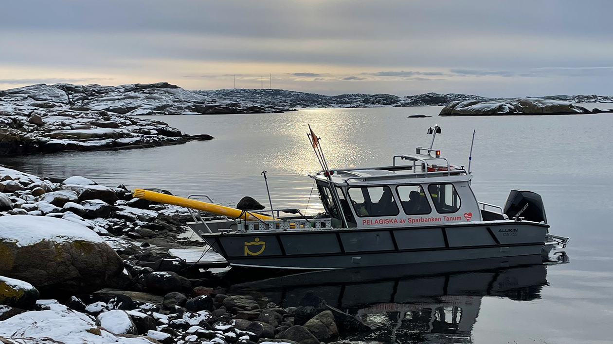 Strandstädarbåt som ligger förtöjd vid en ö i Bohuslän. Vinterlandskap med snö och en lågt stående sol på en delvis molnig himmel.