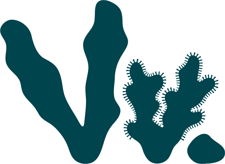Västerhavsveckans logotyp. Illustration.