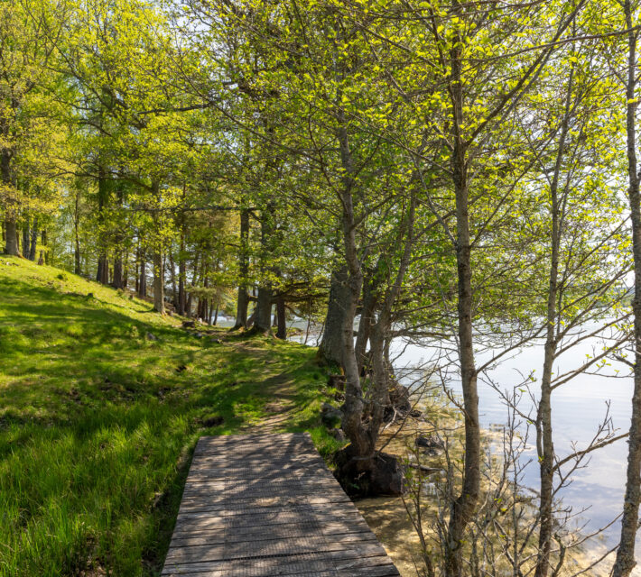 Baldersnäs