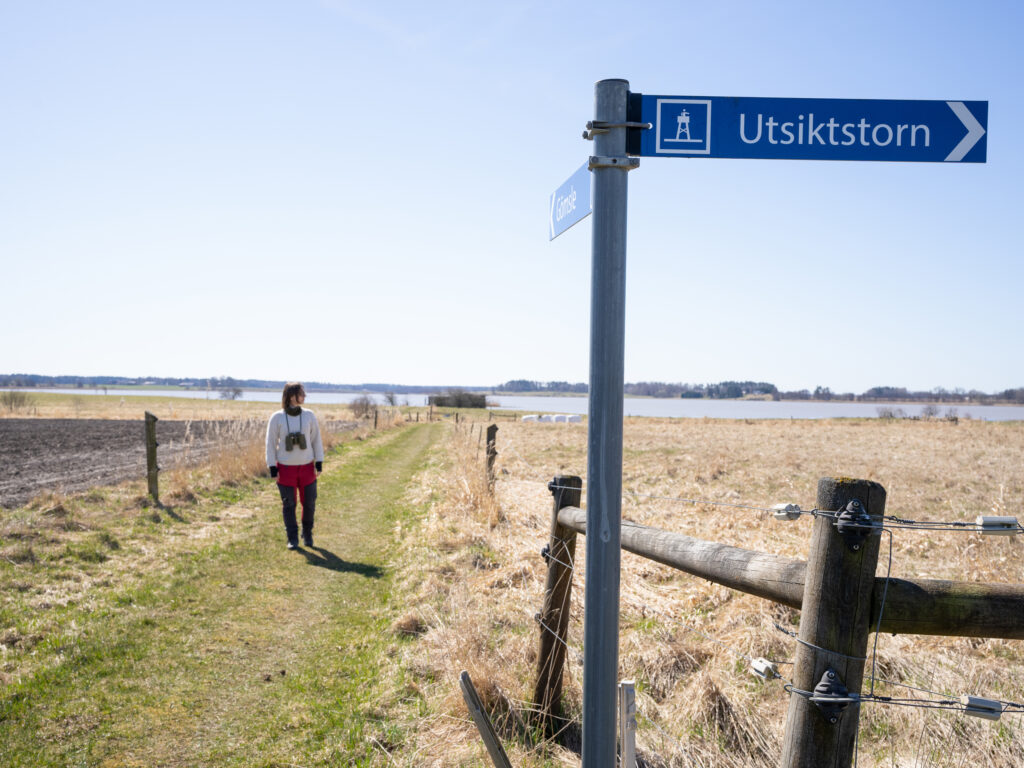 skyltar till fågeltorn respektive gömsle och person. Foto.