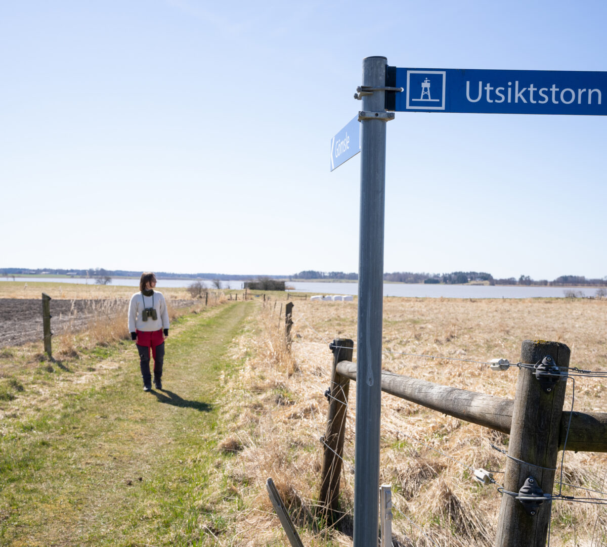 skyltar till fågeltorn respektive gömsle och person. Foto.