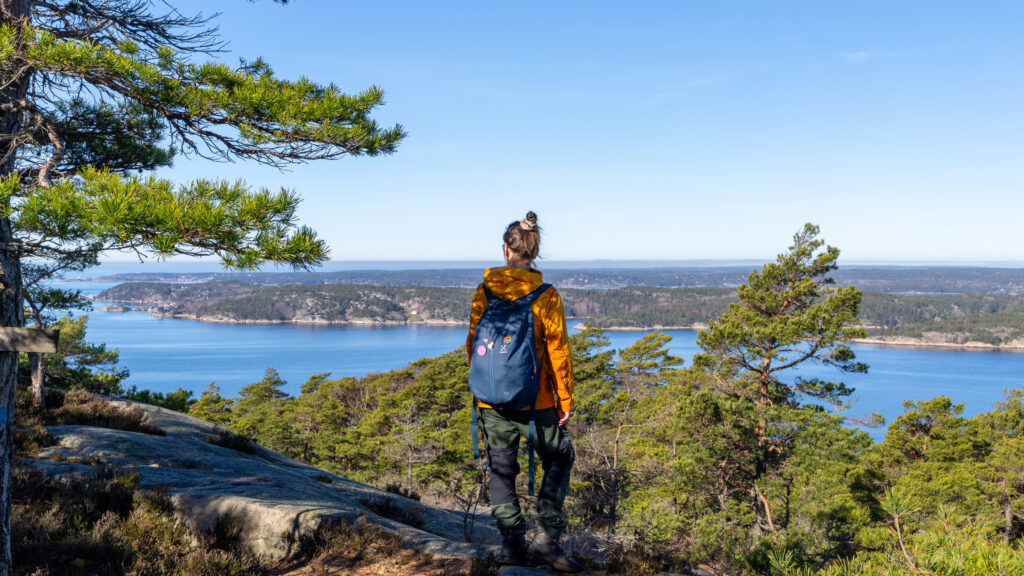 Person på en höjdpunkt blickar över berg, fjord och skog.