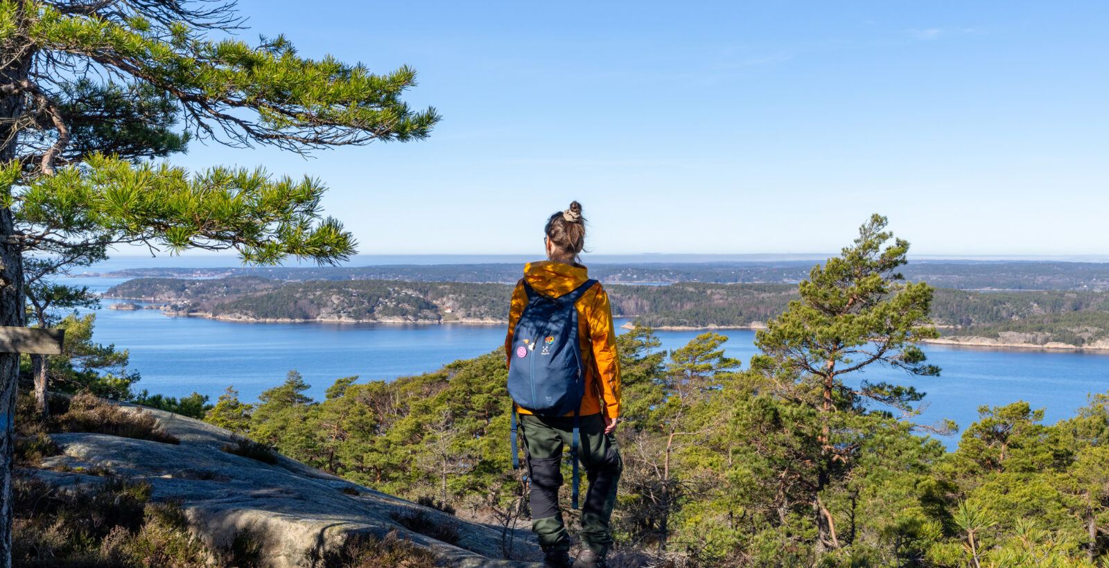 Person på en höjdpunkt blickar över berg, fjord och skog.