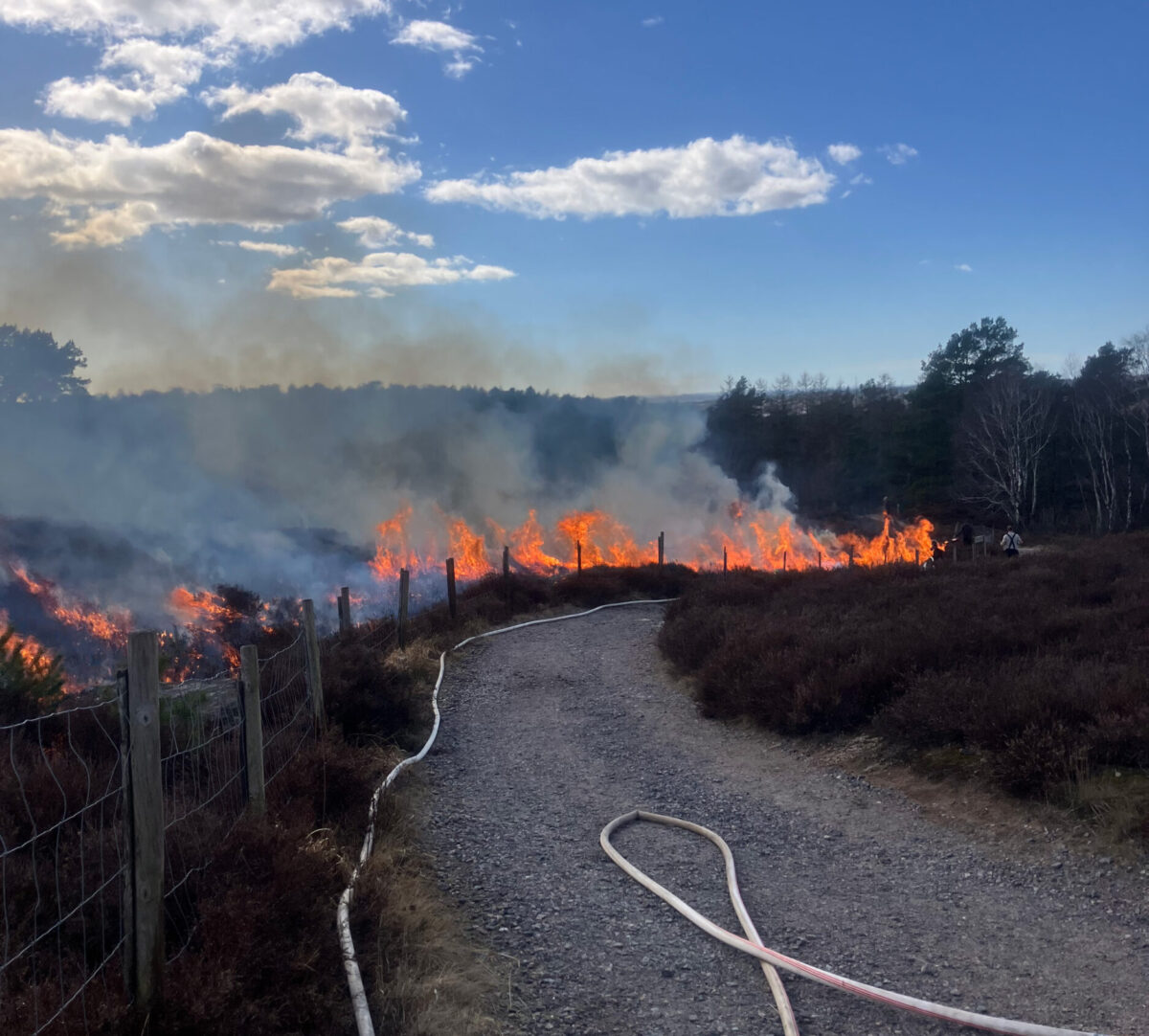 Brinnande ljunghed, brandslang på en grusväg på motsatt sidan. Foto.