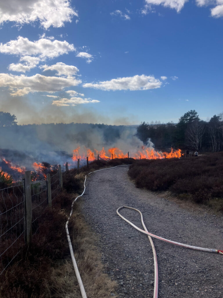 Brinnande ljunghed, brandslang på en grusväg på motsatt sidan. Foto.