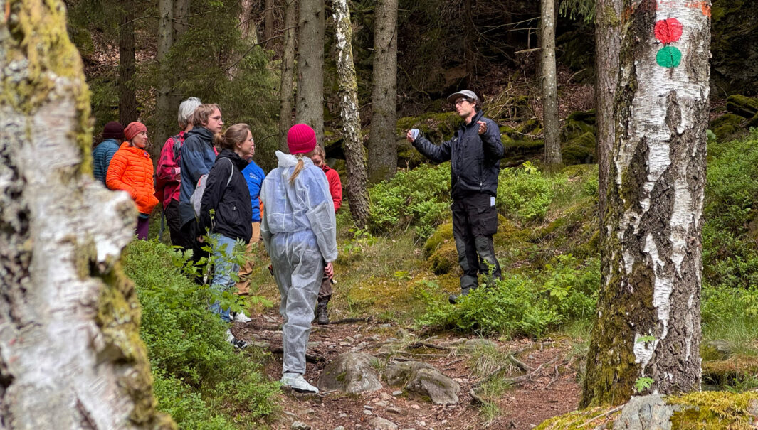 En grupp i skogen som lyssnar på en naturvårdare. Foto.