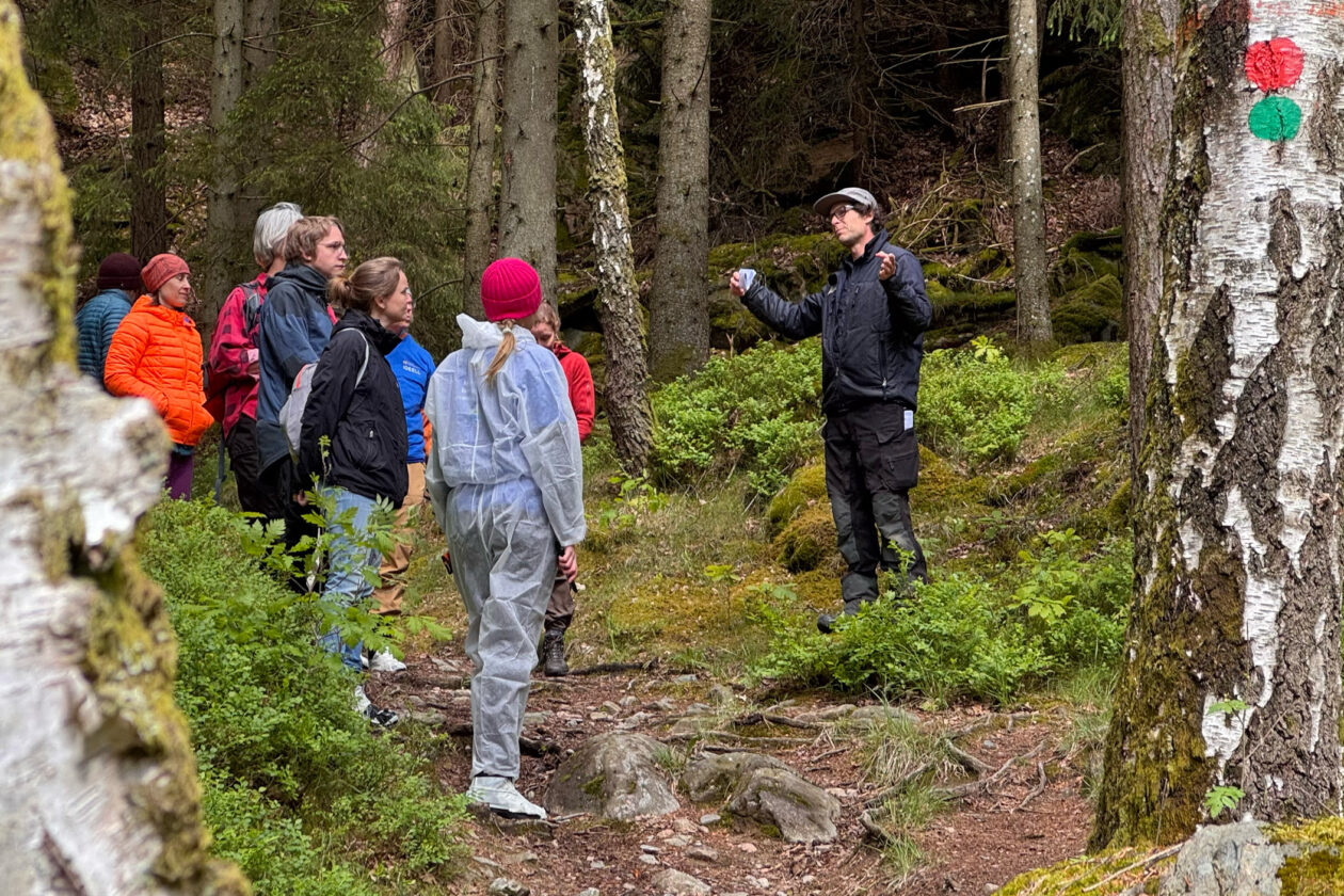 En grupp i skogen som lyssnar på en naturvårdare. Foto.