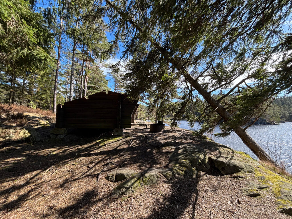 Träd som lutar över eldstad och vindskydd utan tak. Foto.