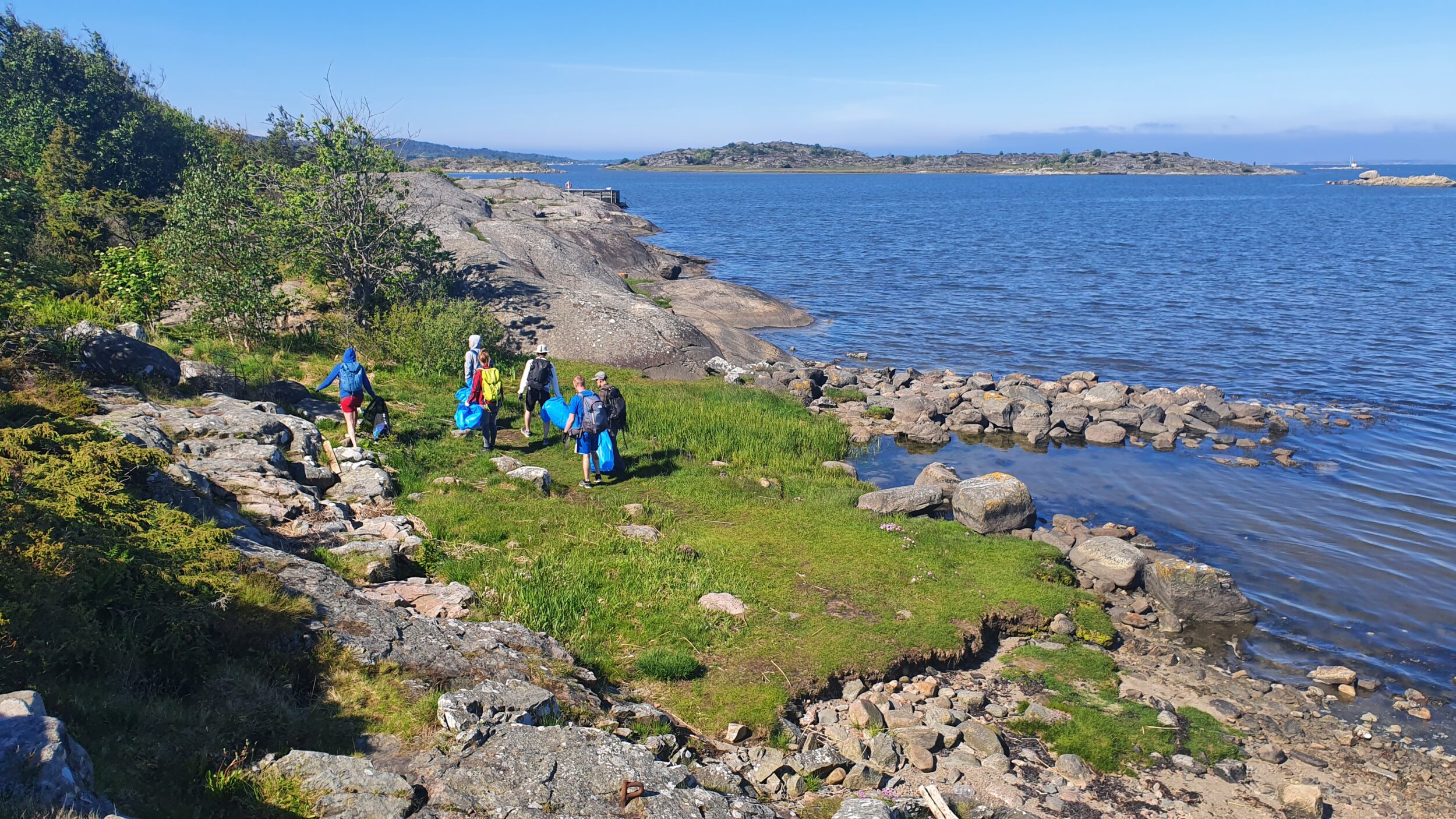 En grupp människor går längs kusten och strandstädar. De bär på blå sopsäckar. Blå himmel och blått hav. Granitklippor och gräs på marken.