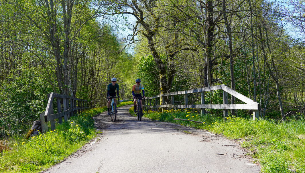 Två cyklister på en asfalterad cykelbana omgiven av grönskande natur. Foto.