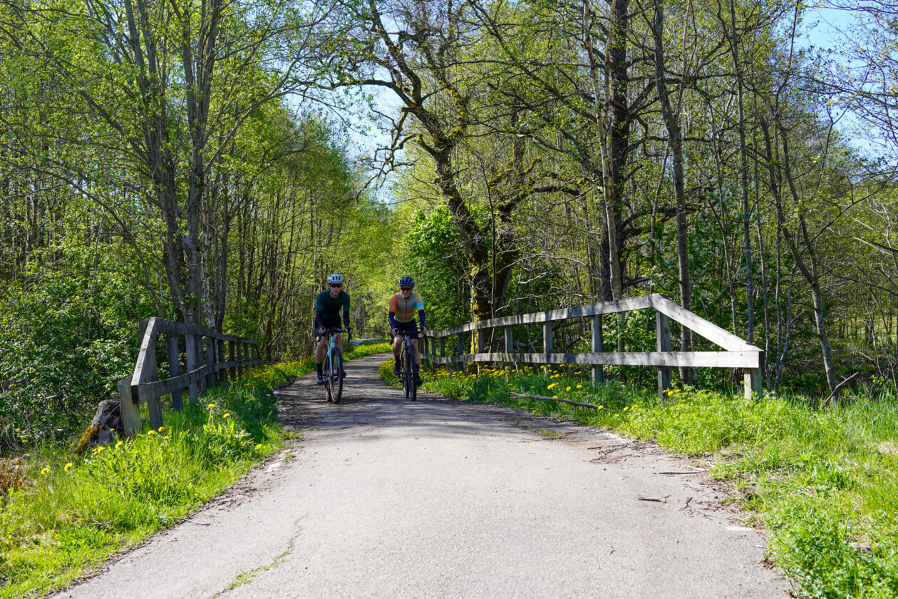 Två cyklister på en asfalterad cykelbana omgiven av grönskande natur. Foto.