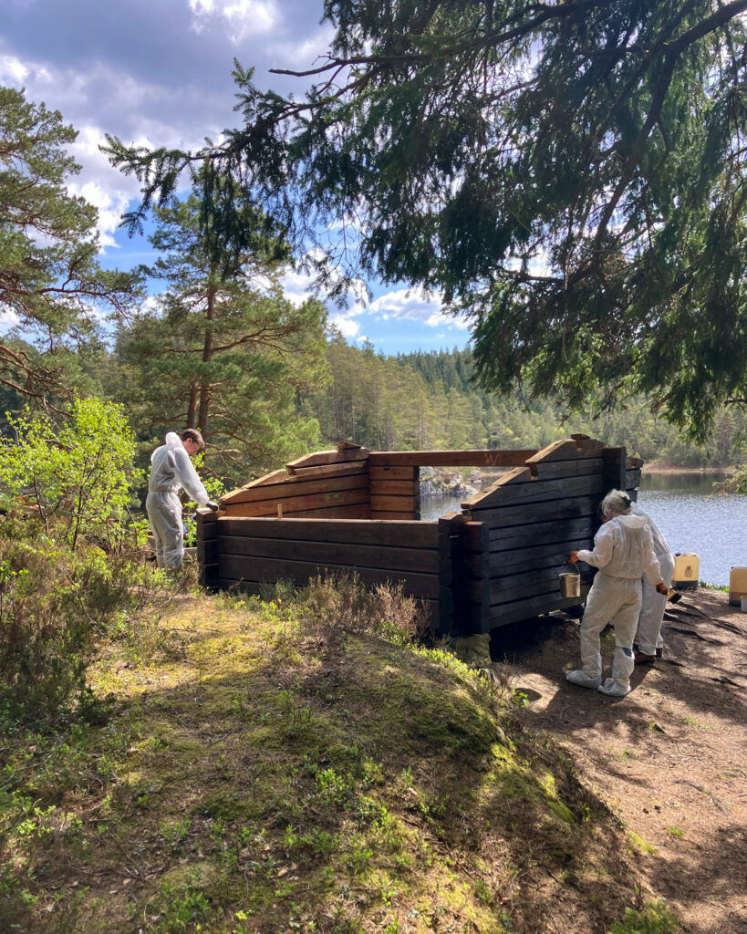 Tjärning av vindskyddet vid Stora Äggdalsjön, Svartedalen.