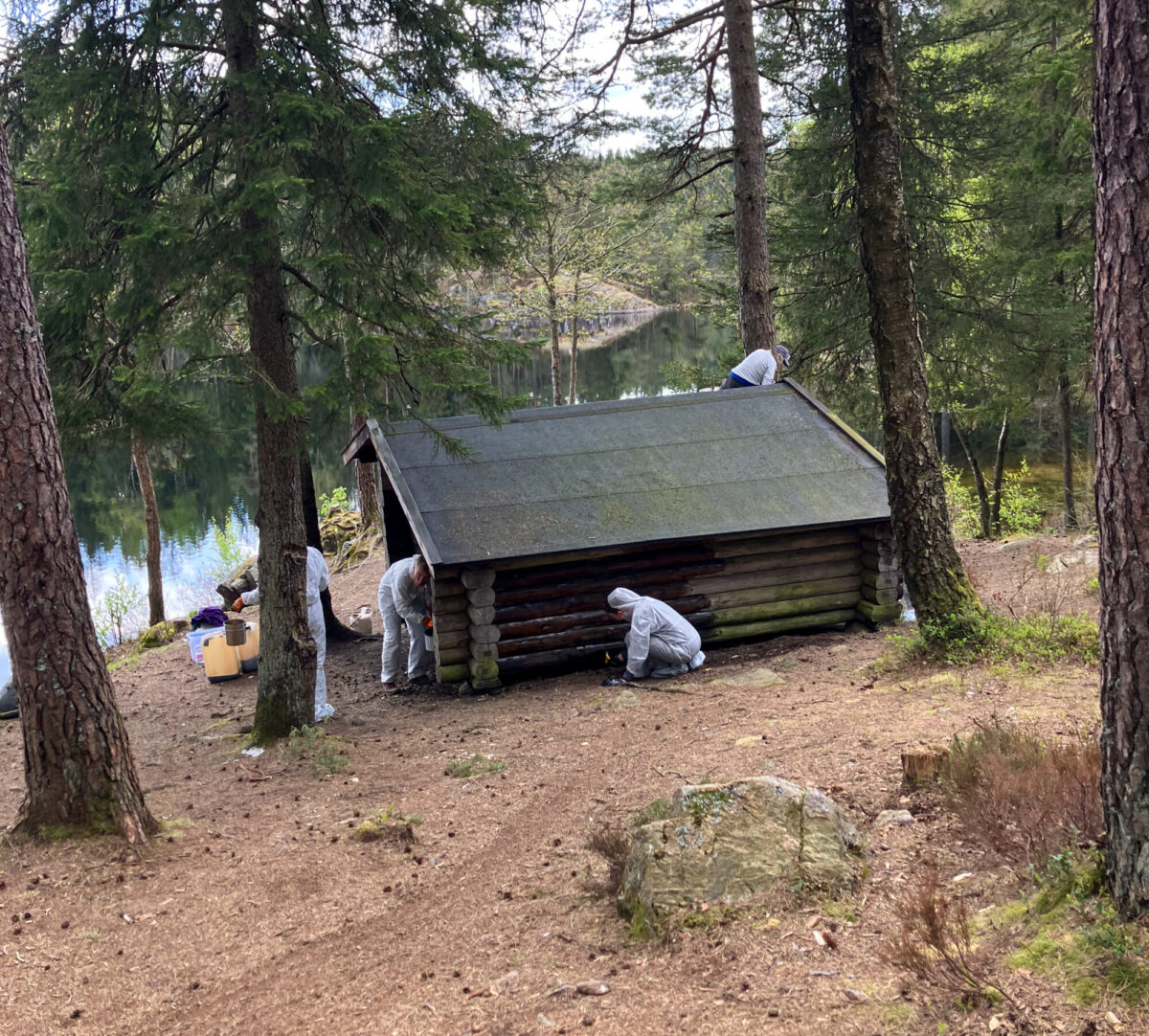 Tjärning av vett annat vindskydd i Svartedalen.