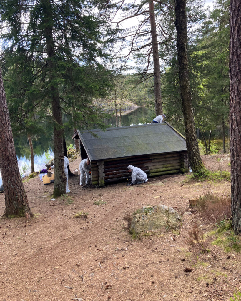 Tjärning av vett annat vindskydd i Svartedalen.