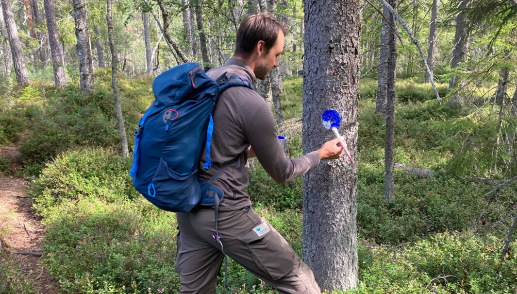 Person med ryggsäck målar enn blå prick på ett träd. Foto.