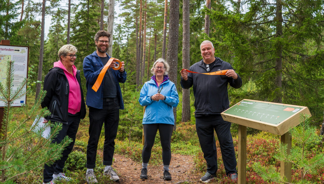 Fyra skrattande personer på rad i skogen vid en etappskylt. Två håller i ett avklippt orange band och en håller i en sax. Foto.
